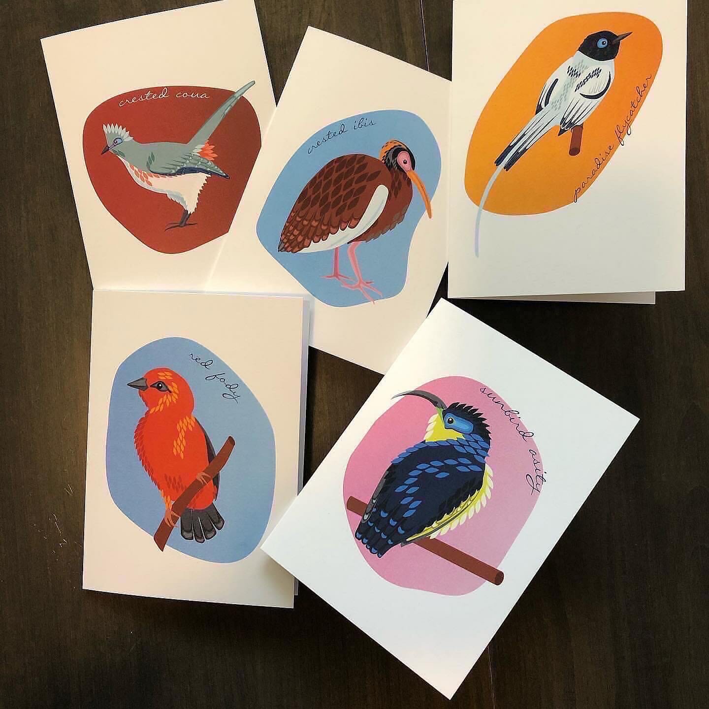 photo of bird notecards