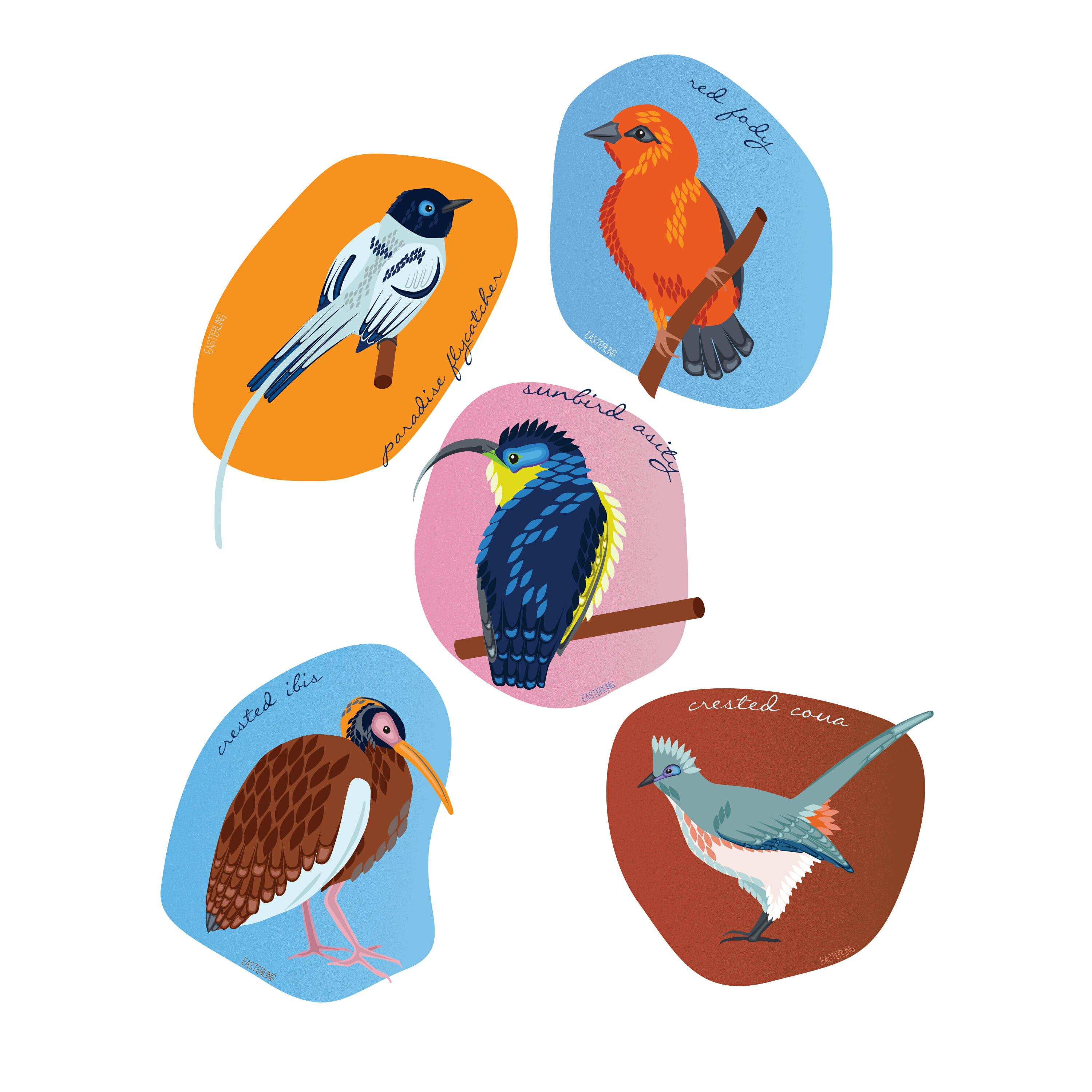 Illustration of five birds