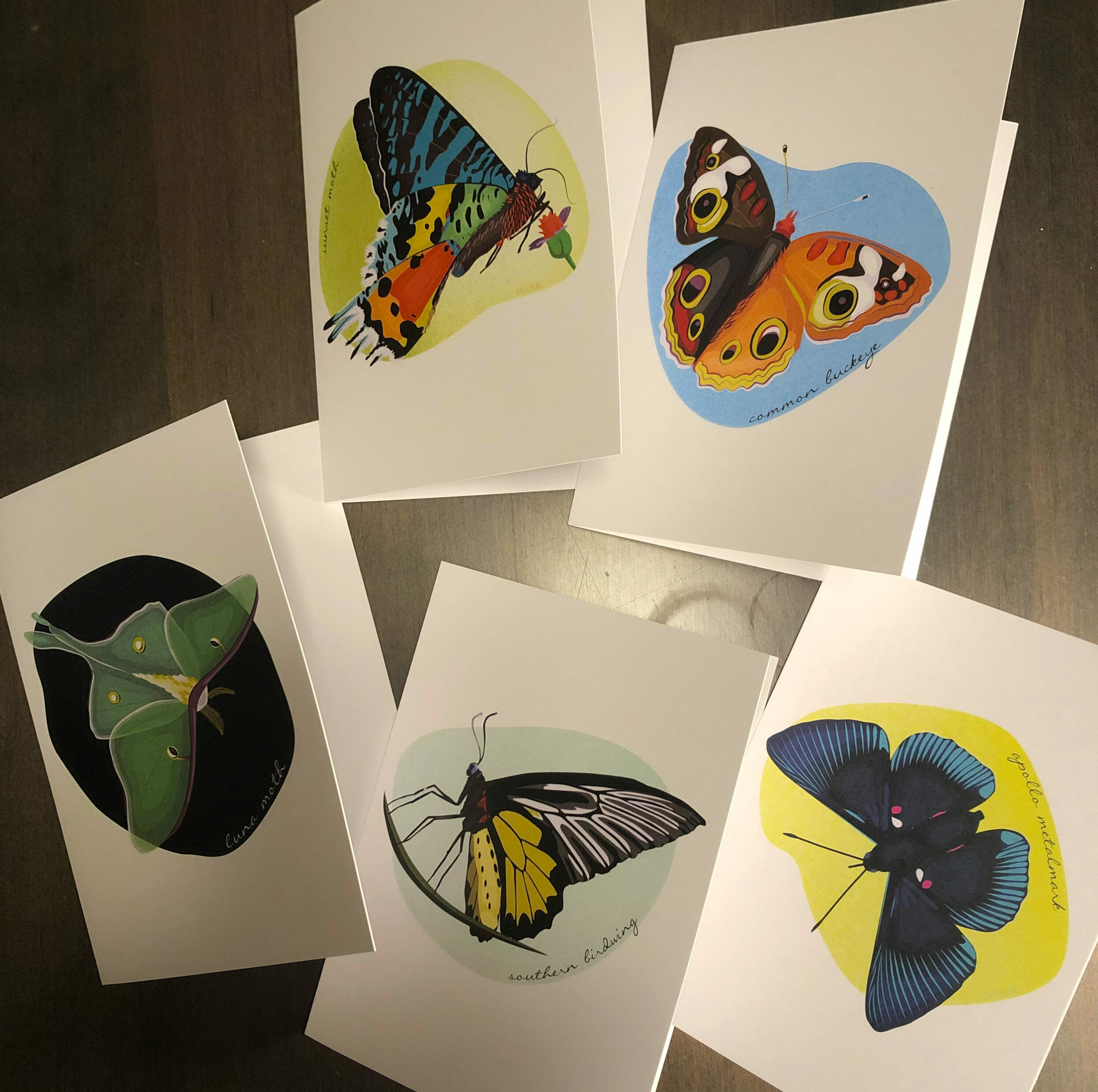 butterfly notecards