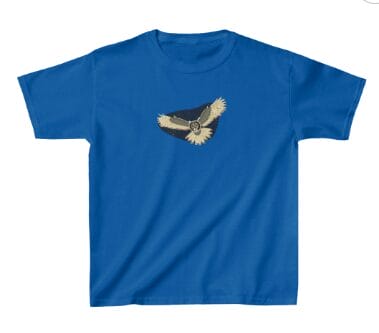 owl illustration on a kid's t-shirt