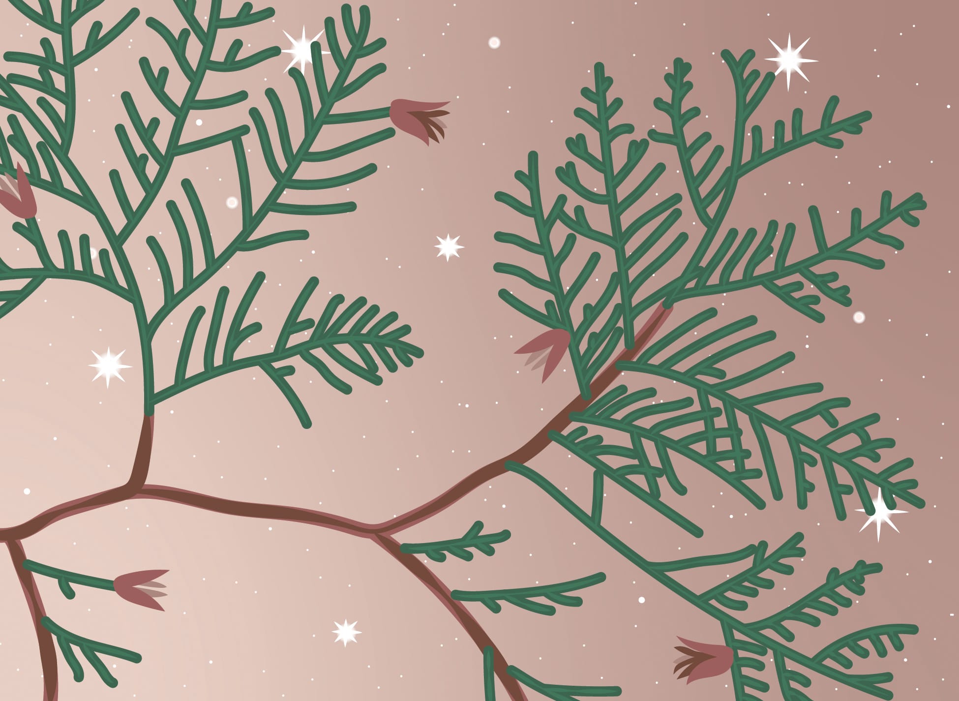 cedar and starlight notecard
